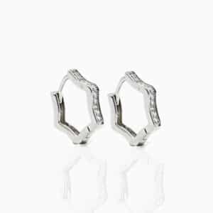 Stella Everyday Earrings 1