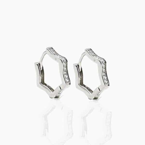 Stella Everyday Earrings 1